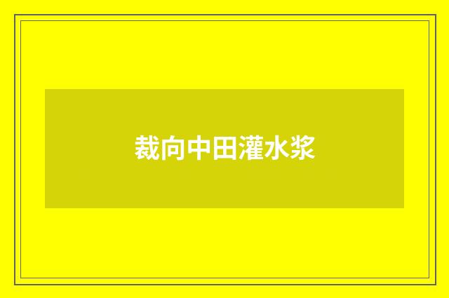 裁向中田灌水浆