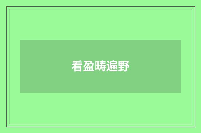 看盈畴遍野