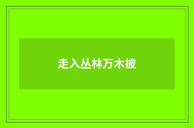 走入丛林万木披