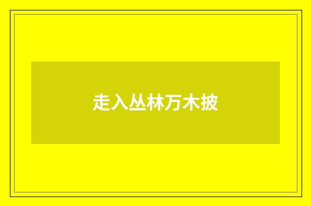 走入丛林万木披