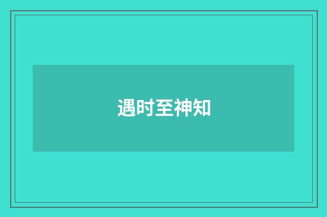 遇时至神知