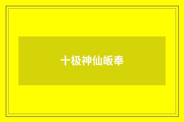 十极神仙皈奉