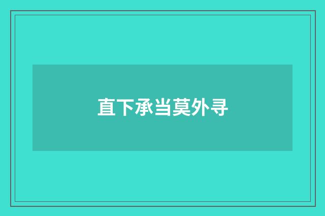 直下承当莫外寻