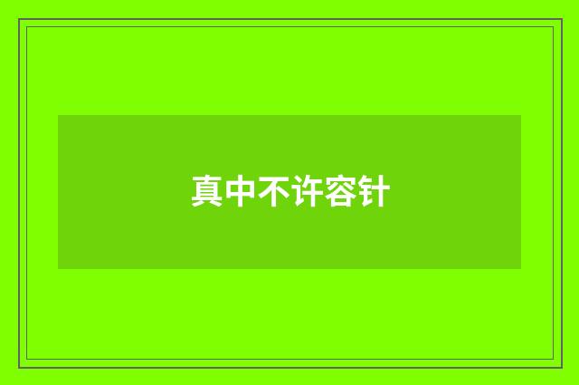 真中不许容针