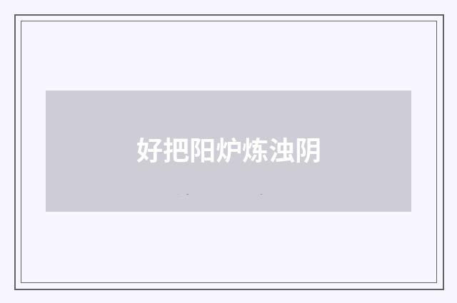 好把阳炉炼浊阴