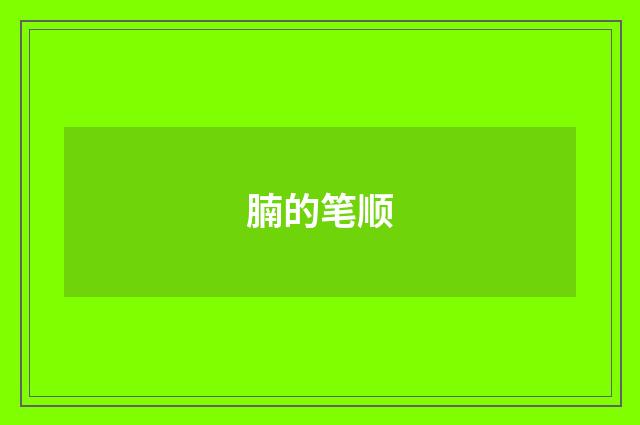 腩的笔顺
