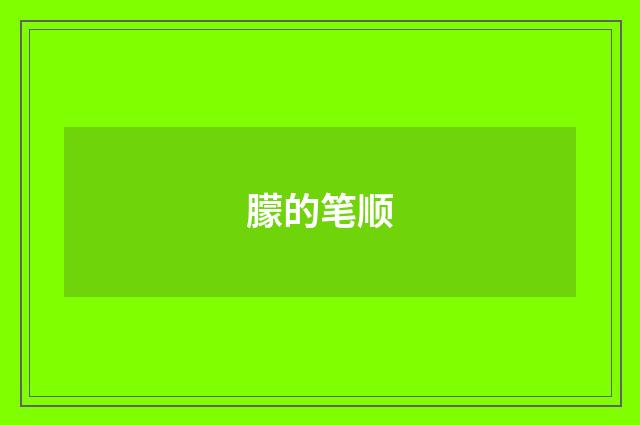 朦的笔顺
