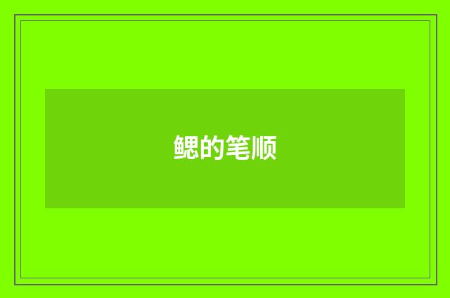 鳃的笔顺