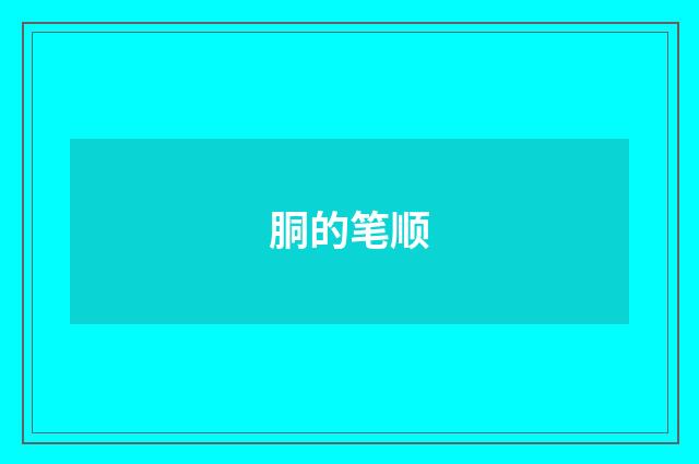 胴的笔顺