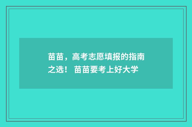 苗苗，高考志愿填报的指南之选！ 苗苗要考上好大学
