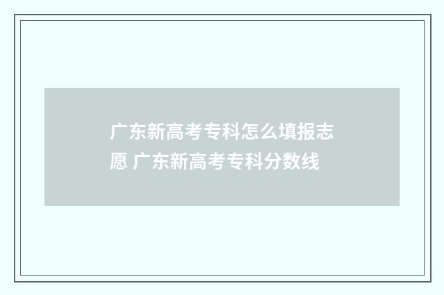 广东新高考专科怎么填报志愿 广东新高考专科分数线
