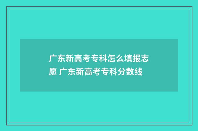 广东新高考专科怎么填报志愿 广东新高考专科分数线