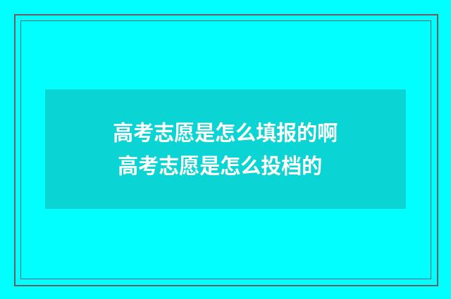 高考志愿是怎么填报的啊 高考志愿是怎么投档的