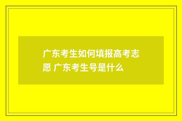 广东考生如何填报高考志愿 广东考生号是什么