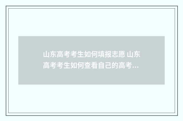 山东高考考生如何填报志愿 山东高考考生如何查看自己的高考志愿填报状态