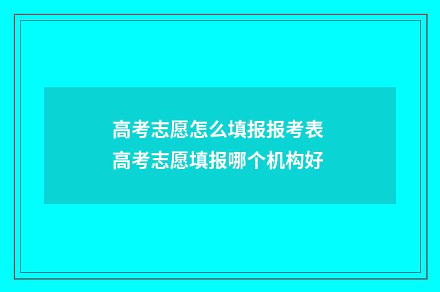 高考志愿怎么填报报考表 高考志愿填报哪个机构好