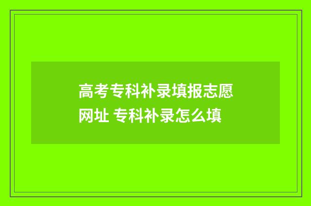 高考专科补录填报志愿网址 专科补录怎么填