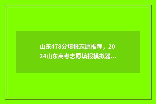 山东478分填报志愿推荐，2024山东高考志愿填报模拟器 山东省478分能上本科吗