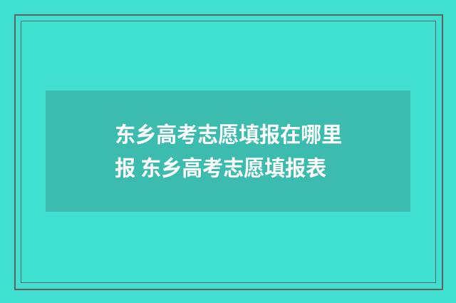 东乡高考志愿填报在哪里报 东乡高考志愿填报表