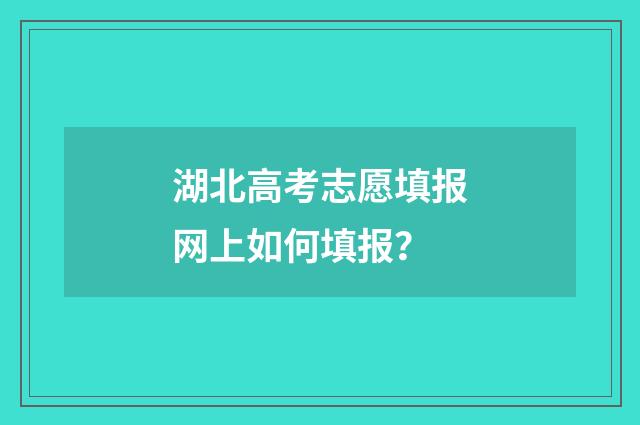 湖北高考志愿填报网上如何填报？
