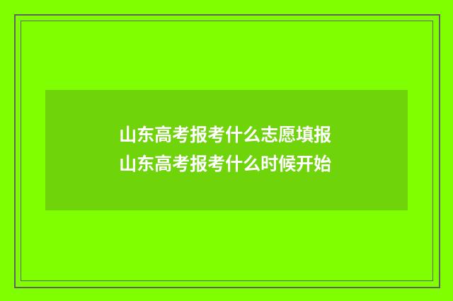 山东高考报考什么志愿填报 山东高考报考什么时候开始