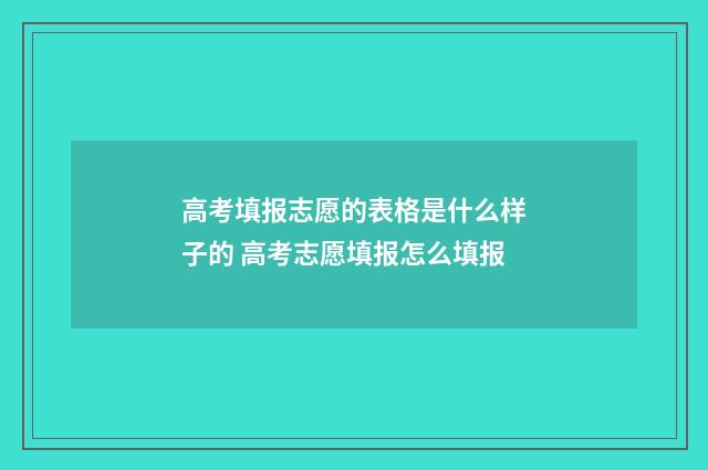 高考填报志愿的表格是什么样子的 高考志愿填报怎么填报