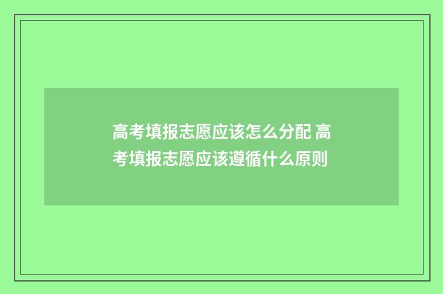 高考填报志愿应该怎么分配 高考填报志愿应该遵循什么原则