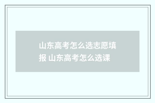 山东高考怎么选志愿填报 山东高考怎么选课