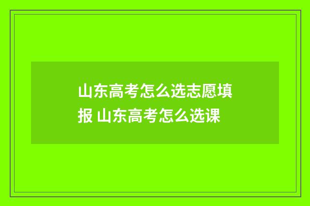 山东高考怎么选志愿填报 山东高考怎么选课