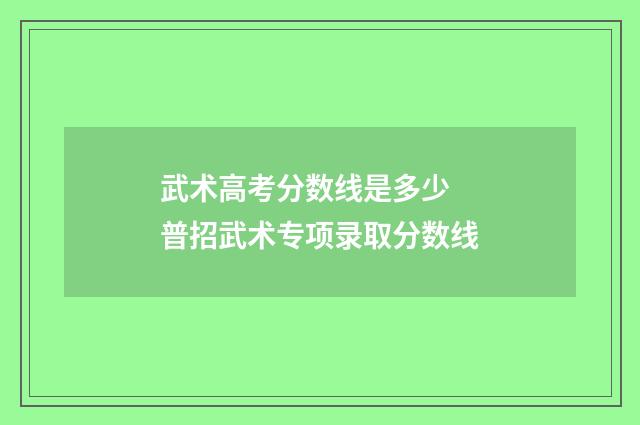 武术高考分数线是多少 普招武术专项录取分数线