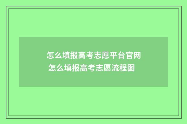 怎么填报高考志愿平台官网 怎么填报高考志愿流程图