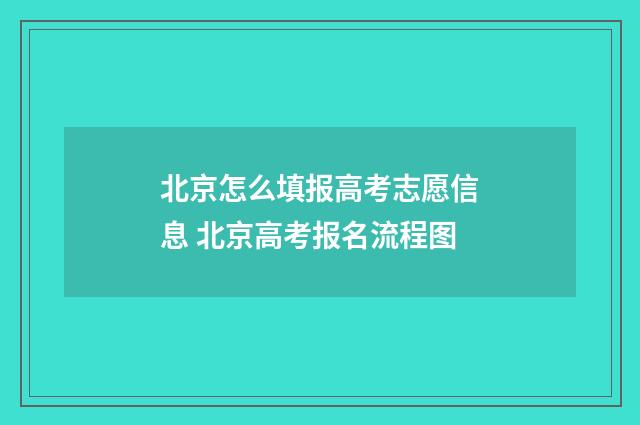 北京怎么填报高考志愿信息 北京高考报名流程图