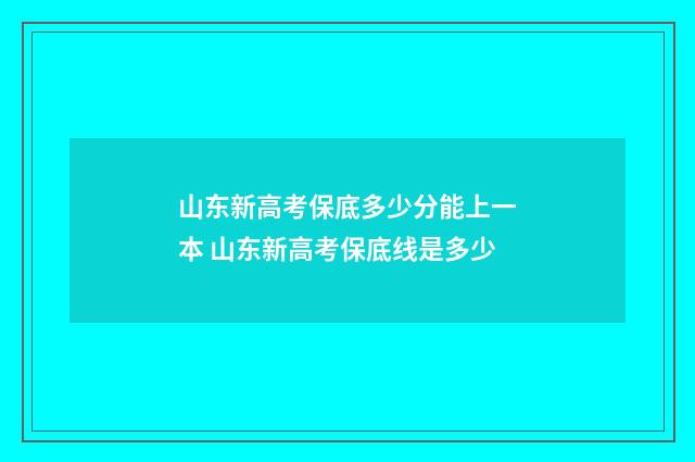 山东新高考保底多少分能上一本 山东新高考保底线是多少