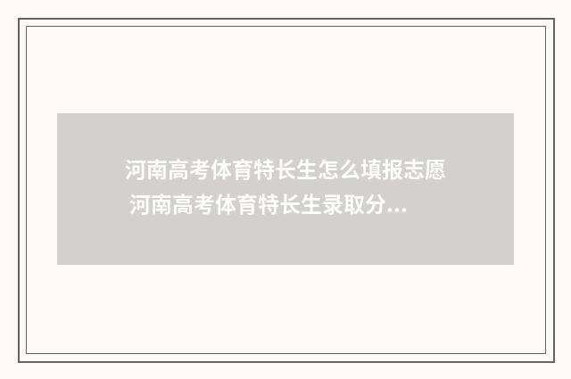 河南高考体育特长生怎么填报志愿 河南高考体育特长生录取分数线