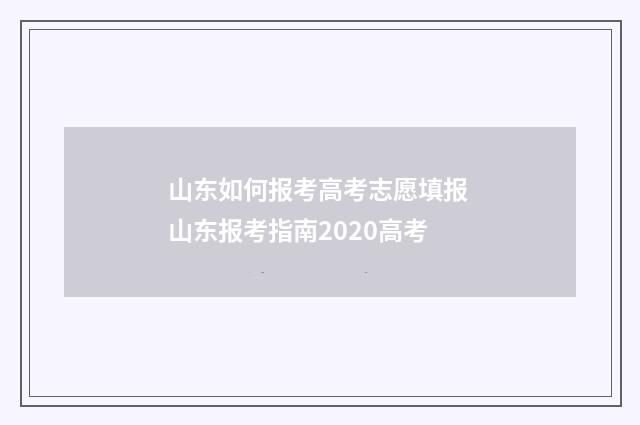 山东如何报考高考志愿填报 山东报考指南2020高考