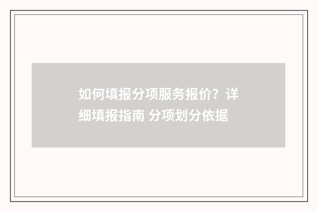 如何填报分项服务报价？详细填报指南 分项划分依据