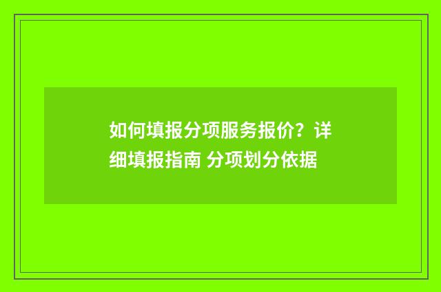 如何填报分项服务报价？详细填报指南 分项划分依据