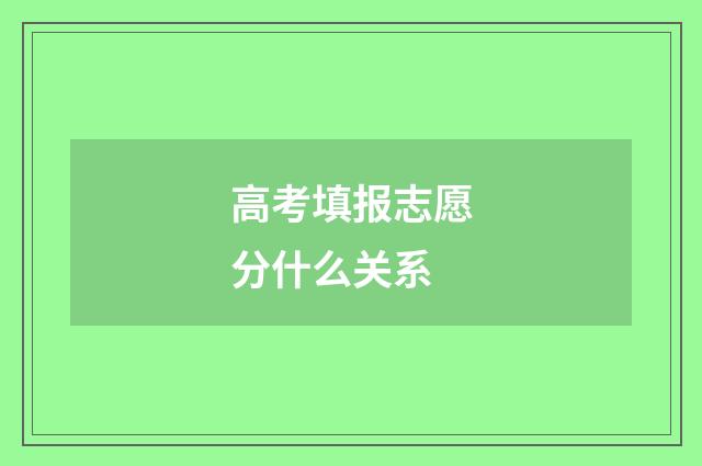 高考填报志愿分什么关系