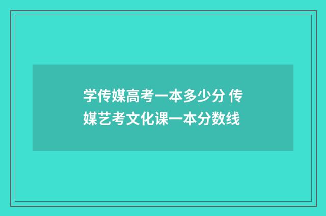 学传媒高考一本多少分 传媒艺考文化课一本分数线