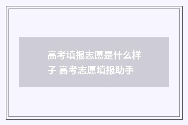 高考填报志愿是什么样子 高考志愿填报助手