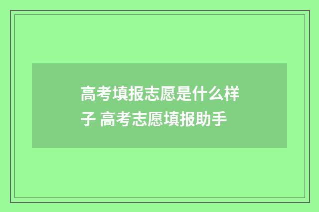 高考填报志愿是什么样子 高考志愿填报助手