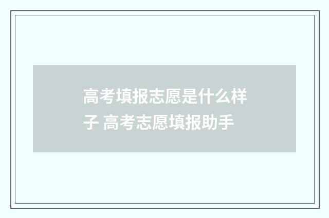 高考填报志愿是什么样子 高考志愿填报助手