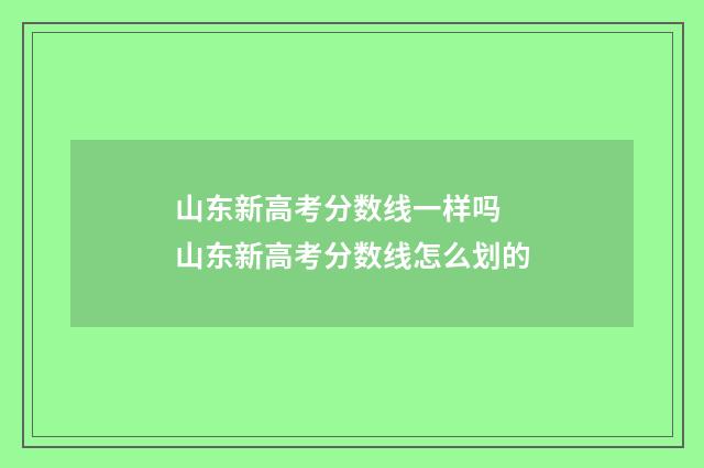 山东新高考分数线一样吗 山东新高考分数线怎么划的