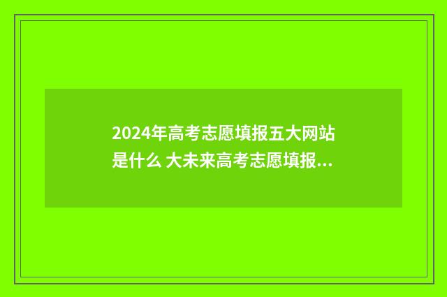 2024年高考志愿填报五大网站是什么 大未来高考志愿填报官网