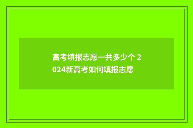 高考填报志愿一共多少个 2024新高考如何填报志愿