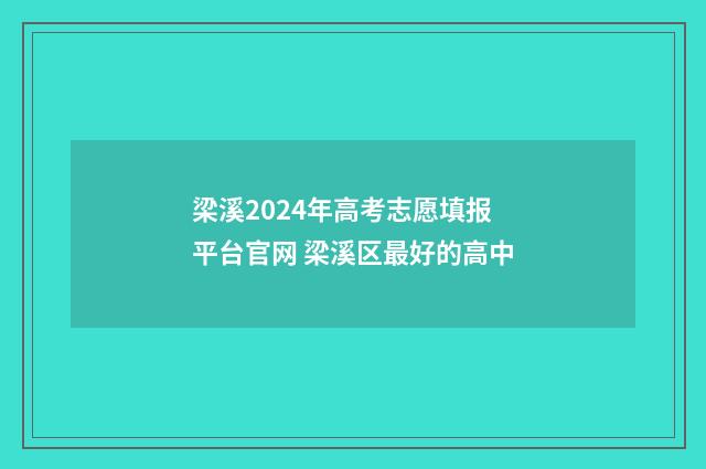 梁溪2024年高考志愿填报平台官网 梁溪区最好的高中