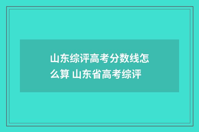 山东综评高考分数线怎么算 山东省高考综评