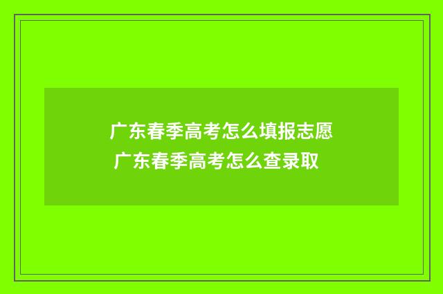 广东春季高考怎么填报志愿 广东春季高考怎么查录取