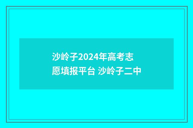 沙岭子2024年高考志愿填报平台 沙岭子二中