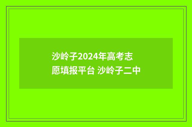沙岭子2024年高考志愿填报平台 沙岭子二中